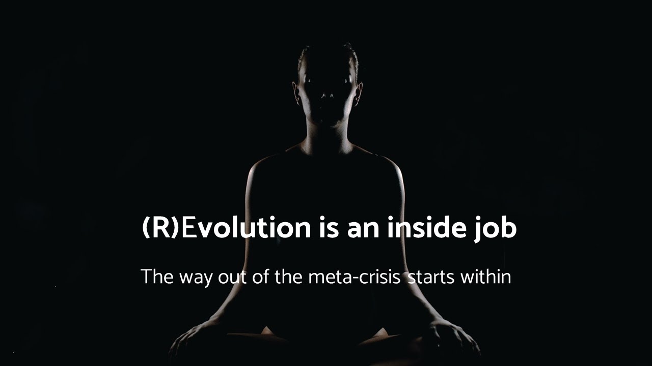 (R)Evolution is an inside job — the way out of the meta-crisis starts within