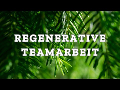 Grundlagen regenerativer Teamarbeit