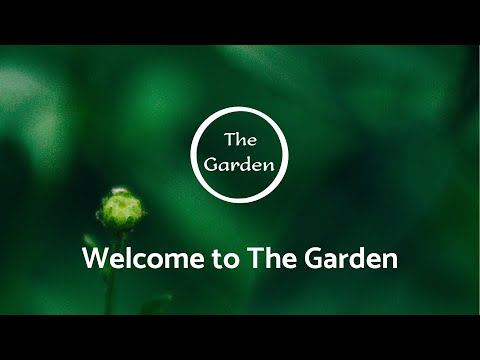 Welcome to The Garden