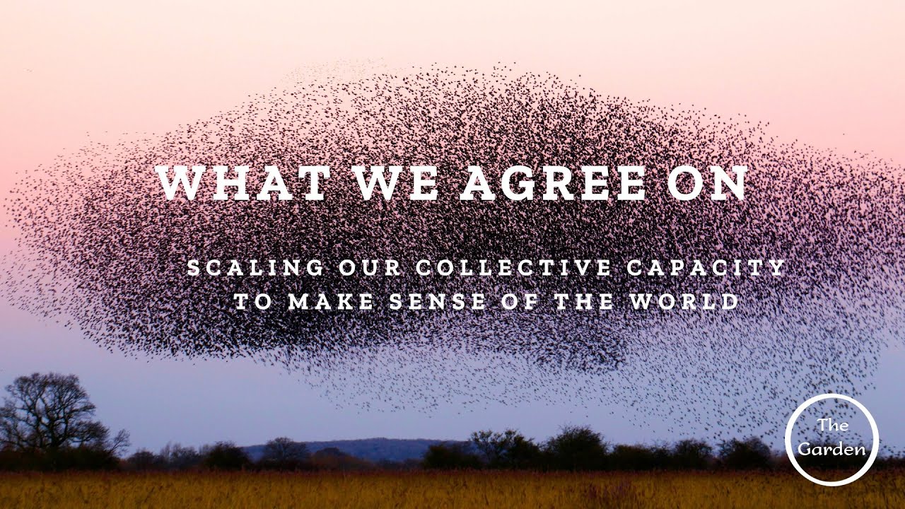 What We Agree On — sense-making and polis